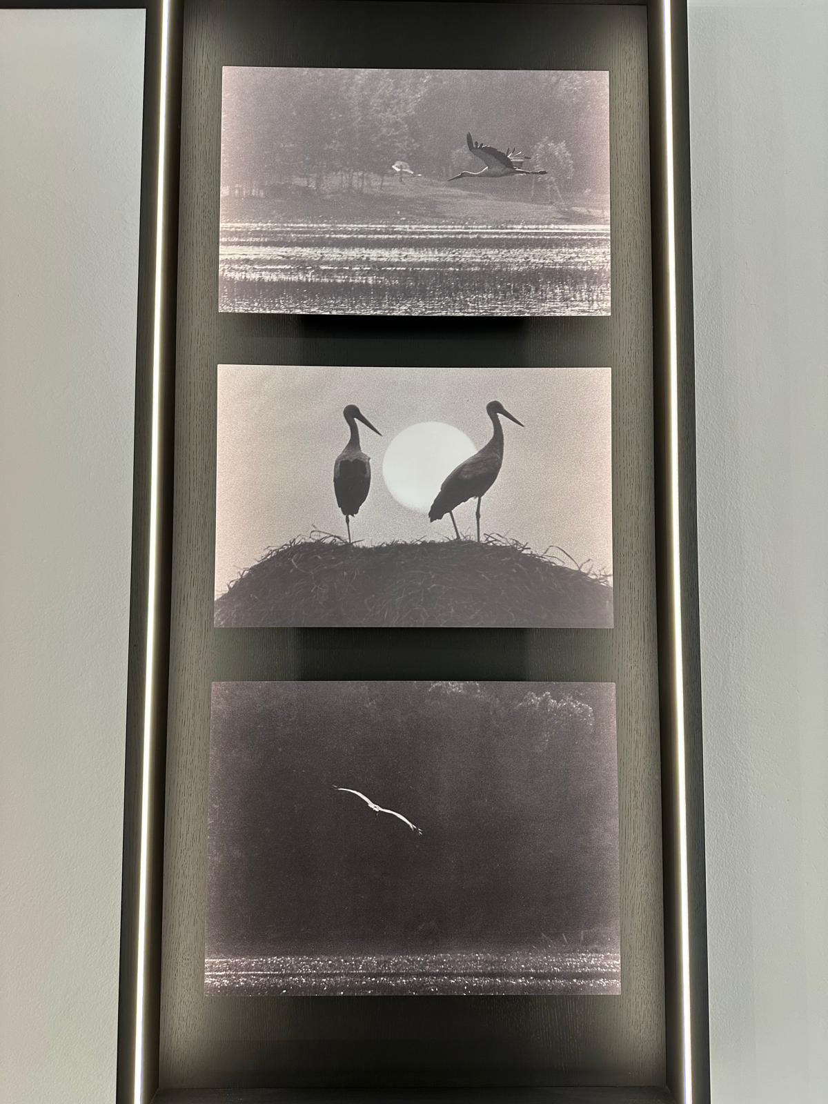 Muzeum Fotografii im. Wiktora Wołkowa, fot. Aleksandra Karkowska