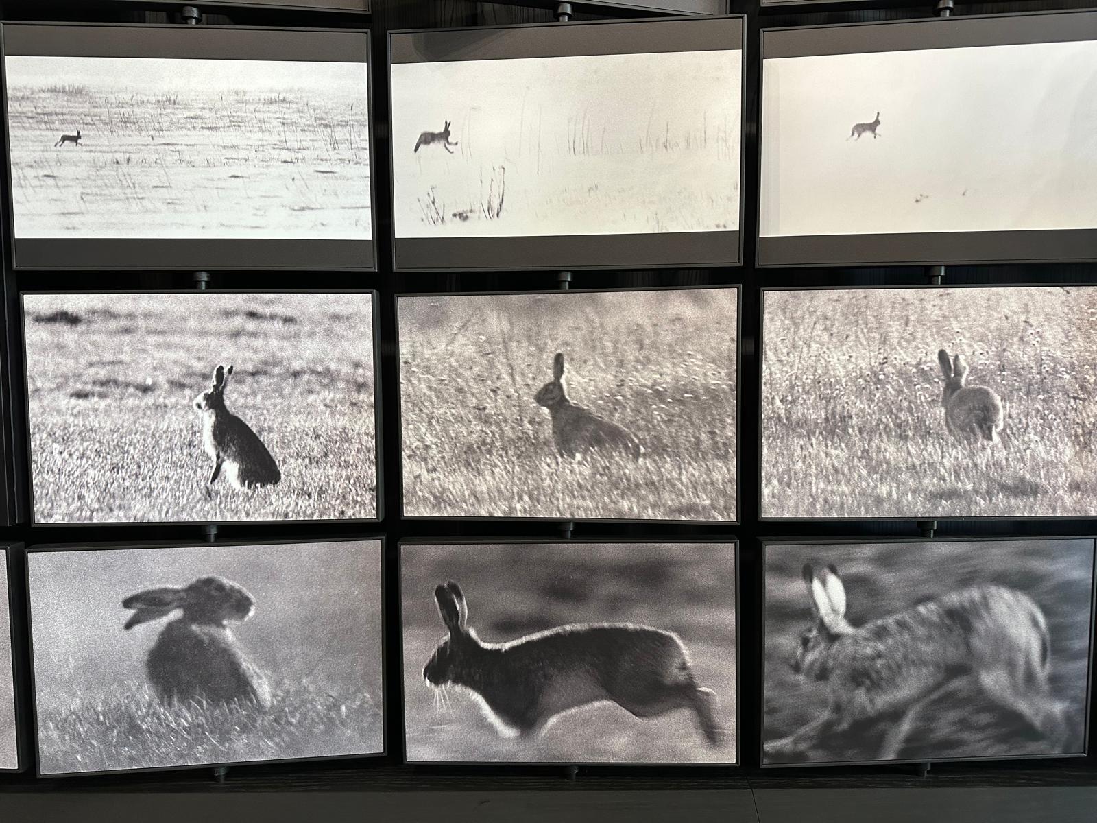 Muzeum Fotografii im. Wiktora Wołkowa, fot. Aleksandra Karkowska