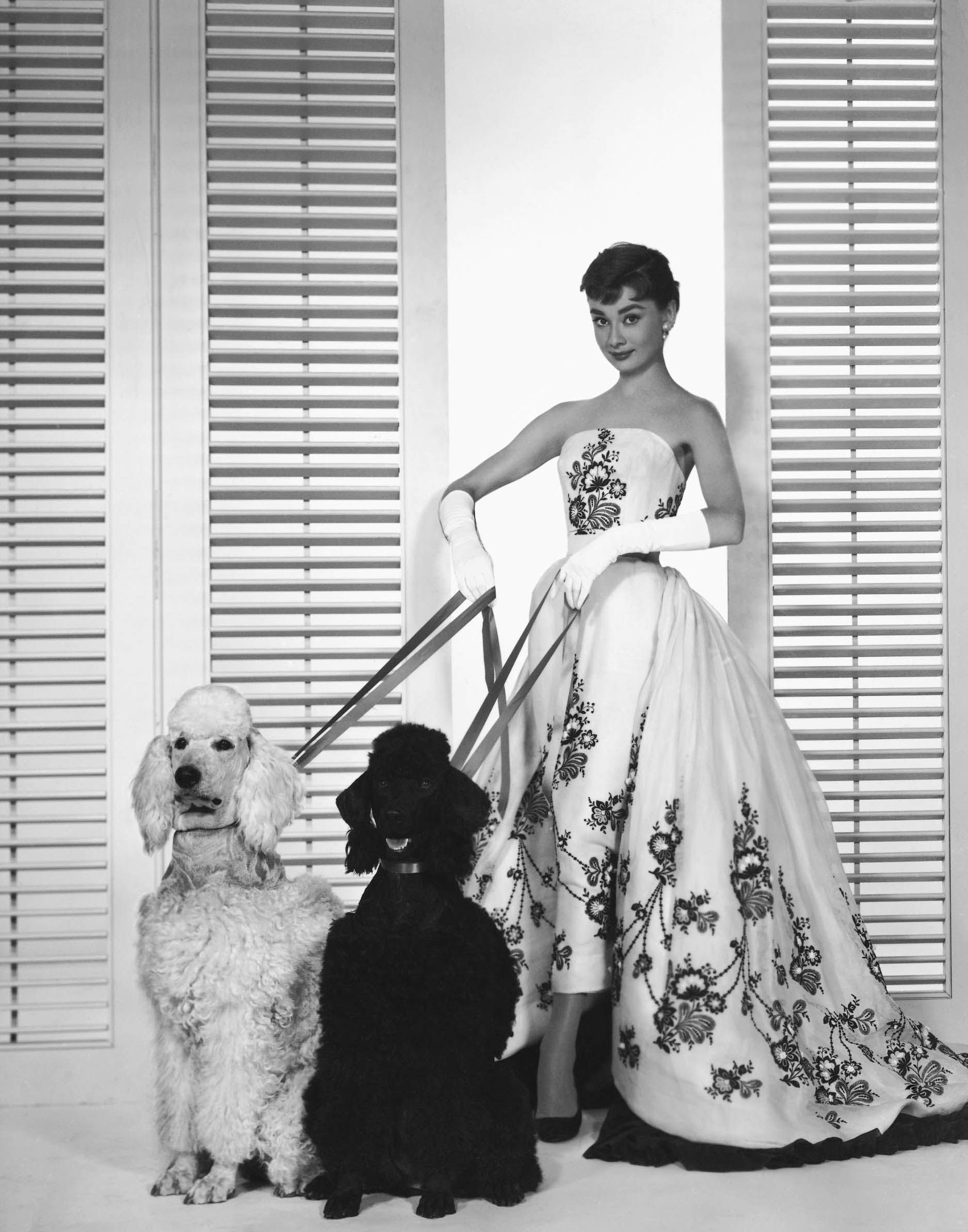 Audrey Hepburn, "Sabrina", fot. Wikipedia