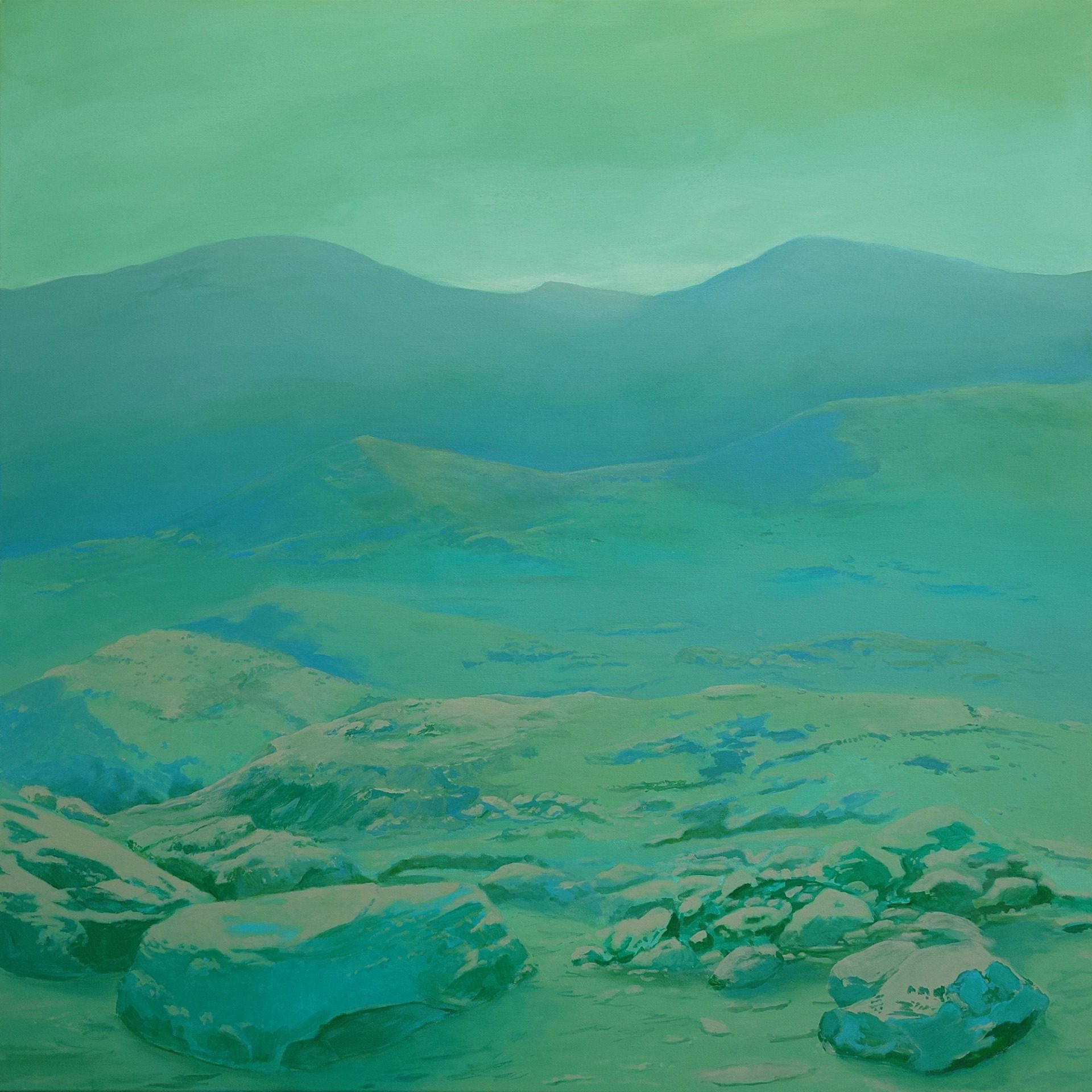 Green Landscape, Acrylic on canvas, 100 x 100cm, 2024