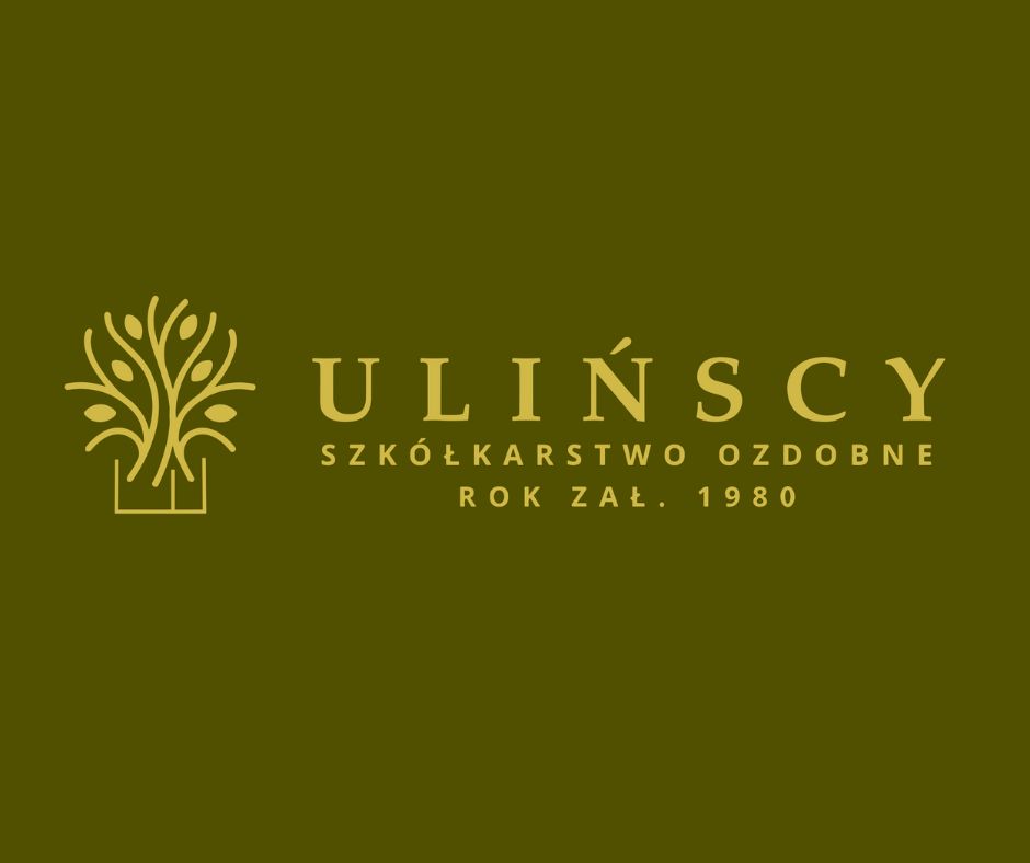 Ulińscy