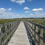 Narwiański Park Narodowy, fot. Aleksandra Karkowska