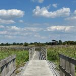 Narwiański Park Narodowy, fot. Aleksandra Karkowska
