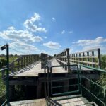 Narwiański Park Narodowy, fot. Aleksandra Karkowska