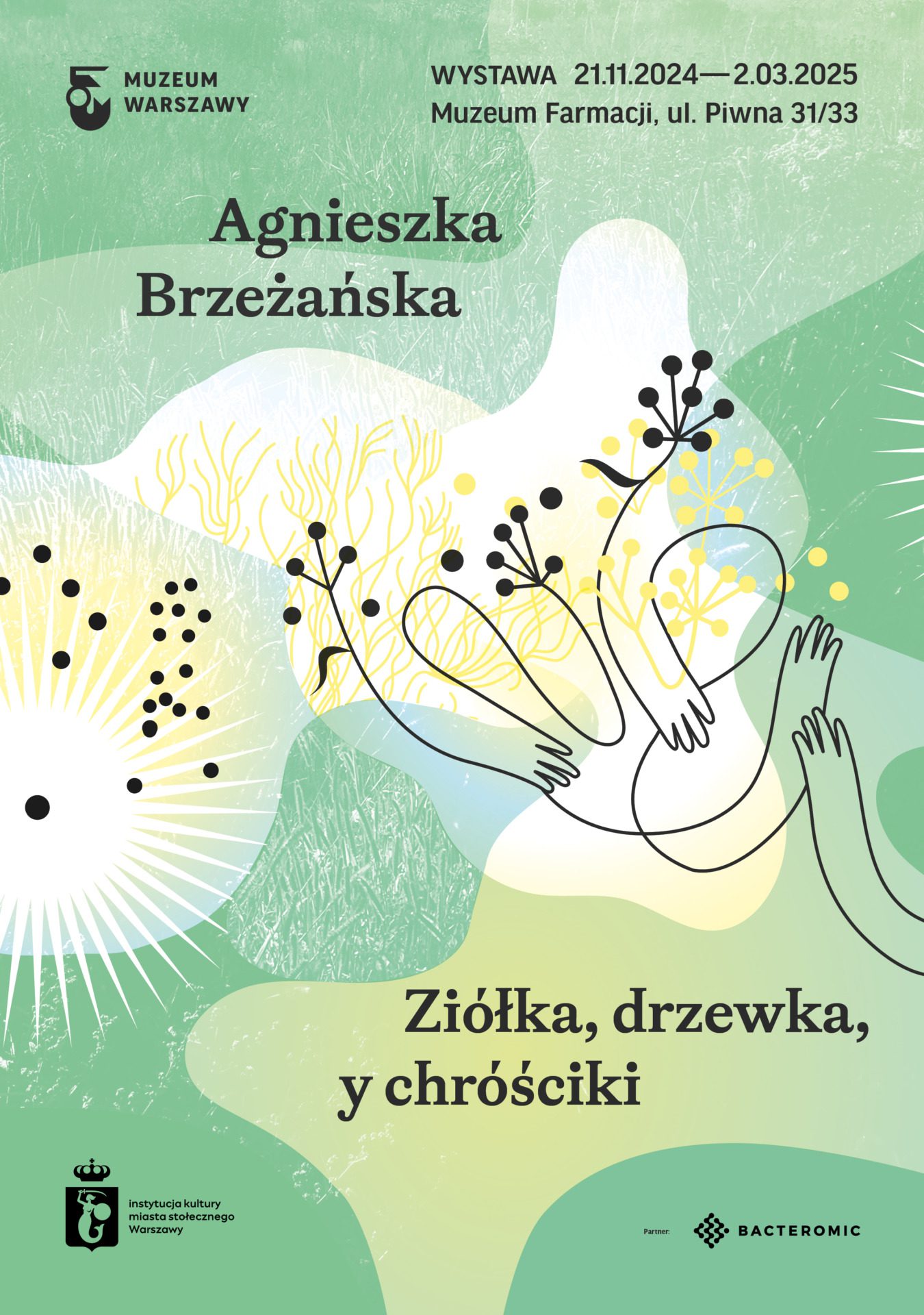 PLAKAT Ziółka, drzewka. y chróściki, proj. Joanna Bębenek