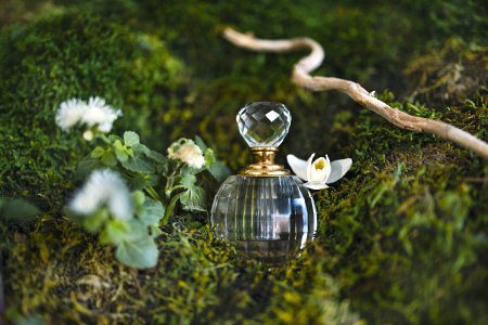 perfumy-szyprowe-mech