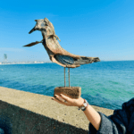 Driftwood, bird, fot. Luki Sztuki