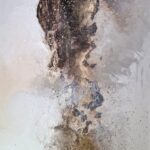 Zamiast pędzli często sięgam po dłonie – rozmowa z Magdaleną Lenartowicz, fot. Archiwum prywatne Magdaleny Lenartowicz