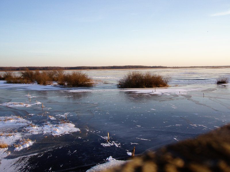 Rzeka Biebrza zimą w okolicach Brzostowa, fot. Wikipedia