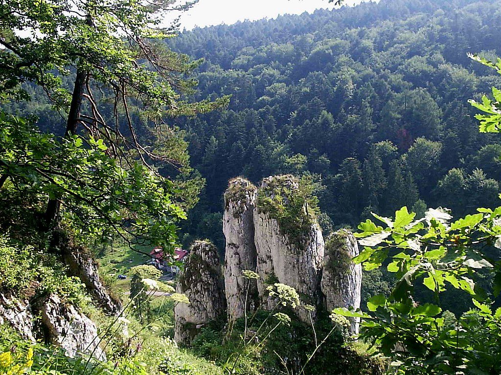 Skała Biała Ręka - Ojcowski Park Narodowy, Polska, fot. Wikipedia