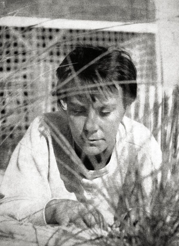 Harper Lee na portrecie z pierwszego wydania Zabić drozda (1960), fot. Wikipedia