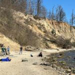 Foki na bałtyckich plażach, fot. Aleksandra Karkowska