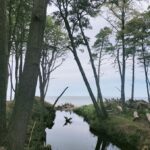 Struga Orzechówka, fot. Paula Apanowicz