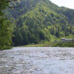 Gdzie w Polsce wybrać się na spływ kajakowy latem? Przewodnik po najpiękniejszych trasach, fot. Katarzyna Krauss
