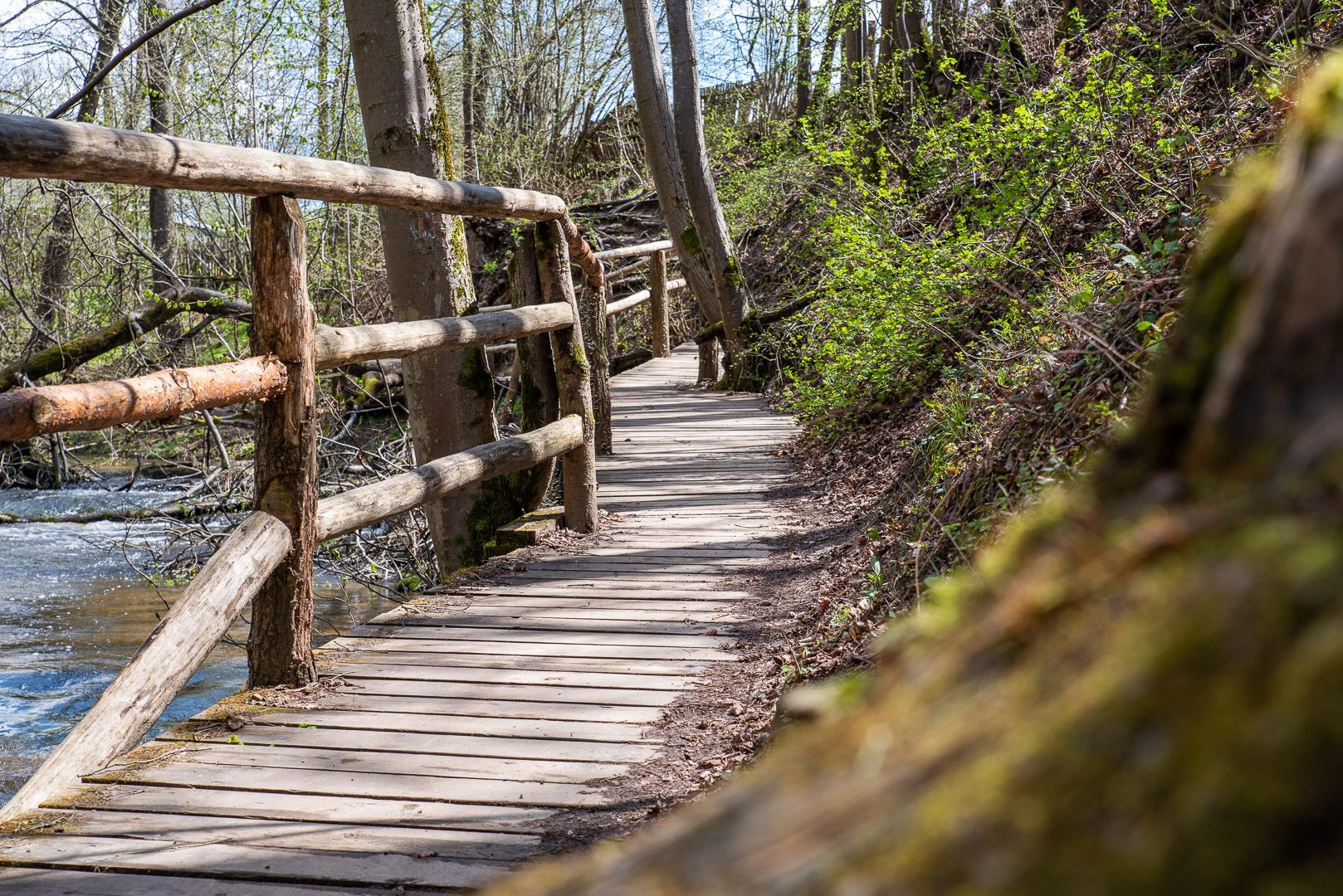 Gdzie na weekend – urokliwy Park Roztoczański