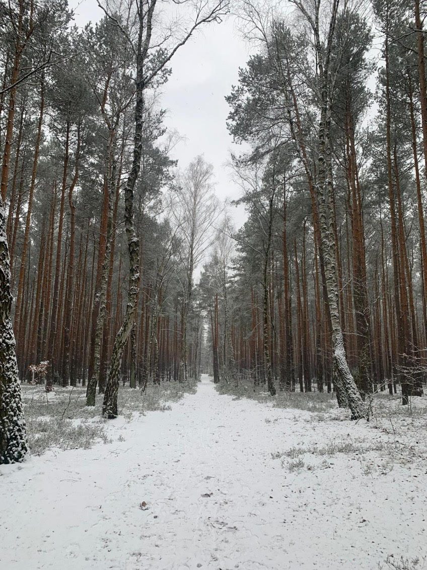 Kampinoski Park Narodowy – zielone płuca Mazowsza, fot. Maria Krauss