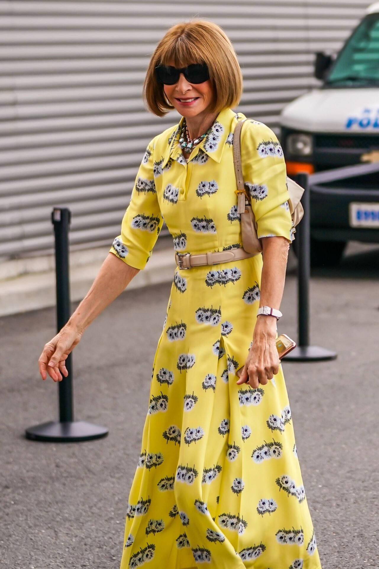 Anna Wintour, fot. Dreamstime