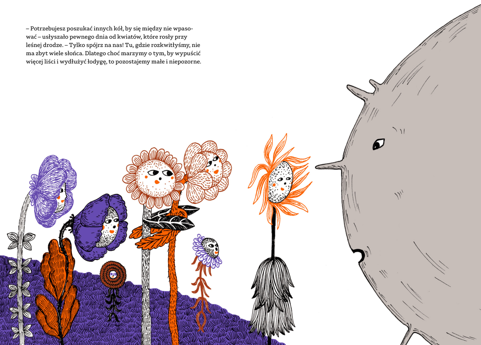 Ilustracje - Kasia Walentynowicz, najnowsza książka „Koło”